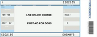 10.10.2025 - ENGLISH - LIVE ONLINE COURSE: FIRST AID FOR DOGS - 6pm-9pm / Single ticket