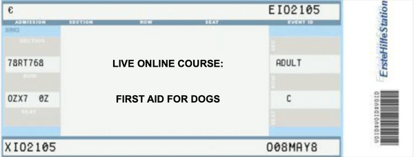 10.10.2025 - ENGLISH - LIVE ONLINE COURSE: FIRST AID FOR DOGS - 6pm-9pm / Team ticket
